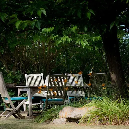 度假居 Nature's Pace Holidays Montmaur (Aude)