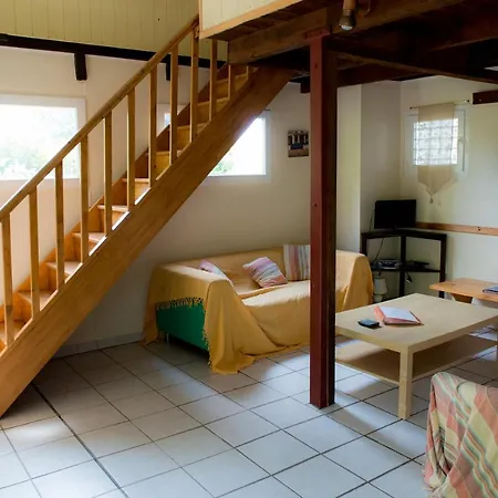 Nature's Pace Holidays