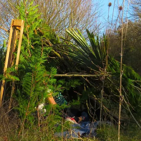 Nature's Pace Holidays *