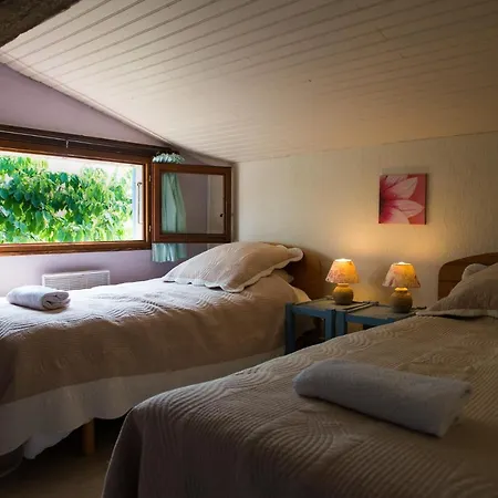 Nature's Pace Holidays