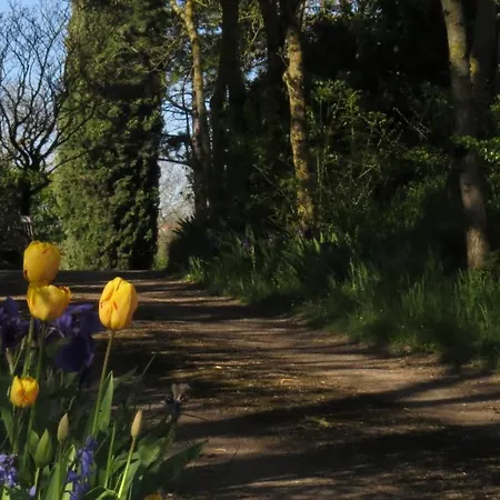 Hébergement de vacances Nature's Pace Holidays Montmaur (Aude)