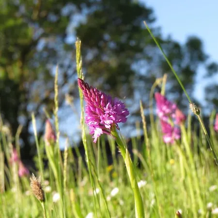 Semesterbostad Nature's Pace Holidays