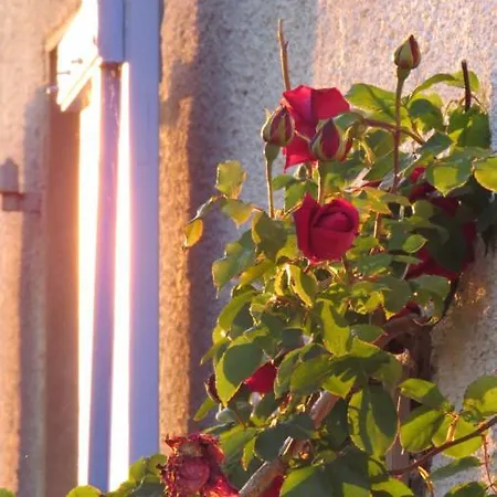 Nature's Pace Holidays *