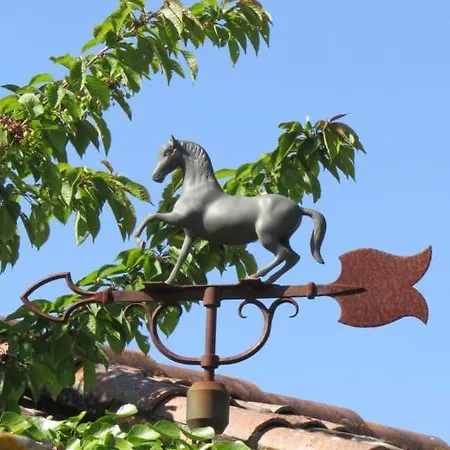 Hébergement de vacances Nature's Pace Holidays