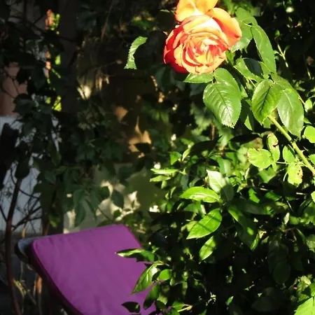 Nature's Pace Holidays Hébergement de vacances