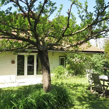 Nature's Pace Holidays Semesterbostad *