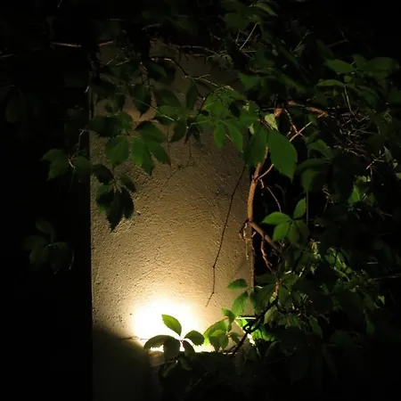 Nature's Pace Holidays Hébergement de vacances *