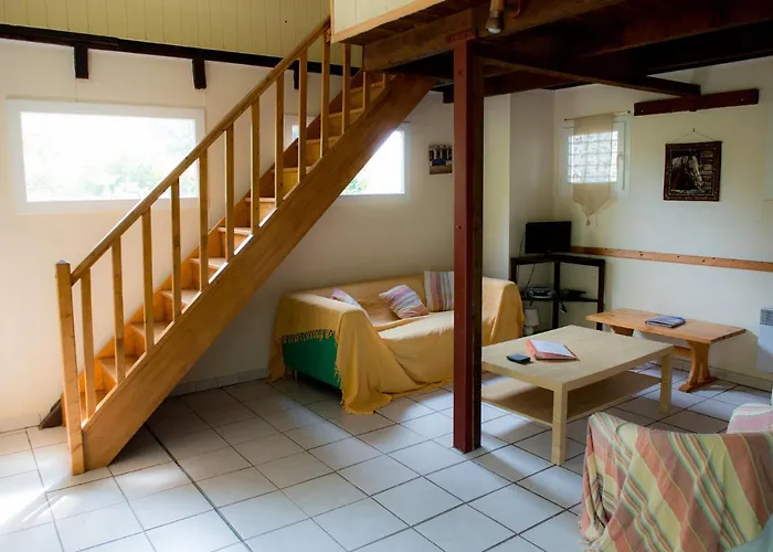 Nature's Pace Holidays