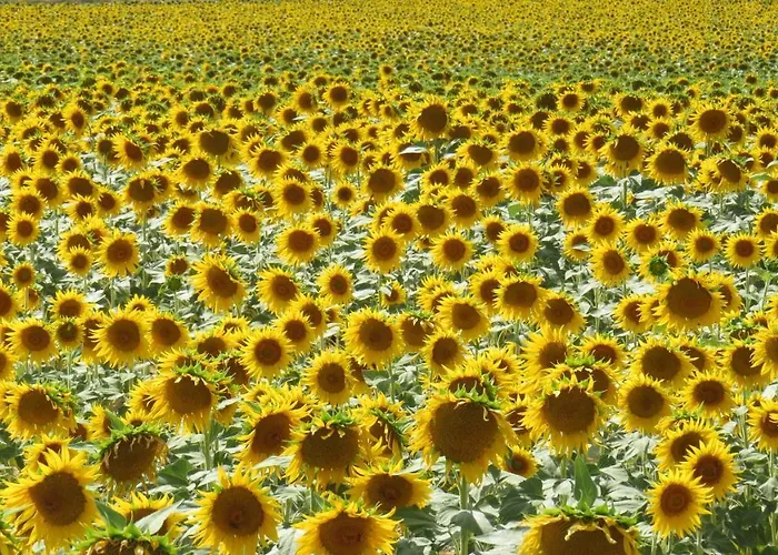 Casa vacanze Nature's Pace Holidays *