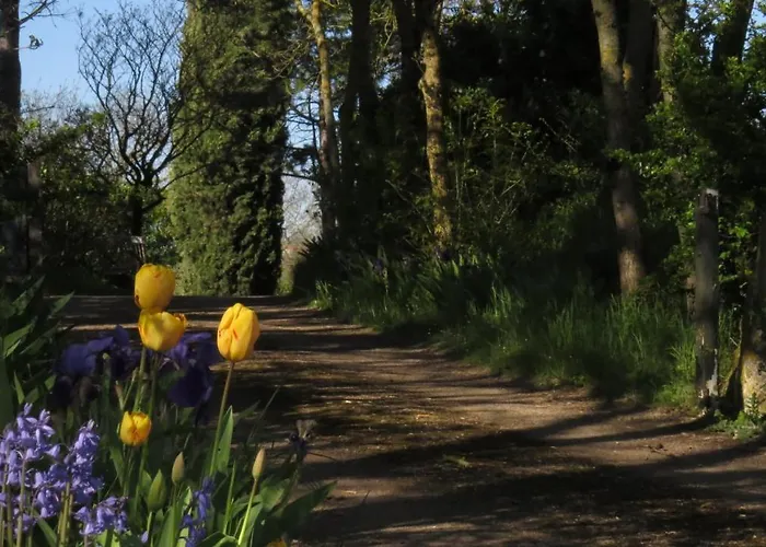 Casa vacanze Nature's Pace Holidays Montmaur (Aude)