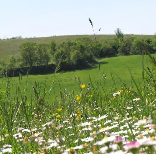 Casa vacanze Nature's Pace Holidays *