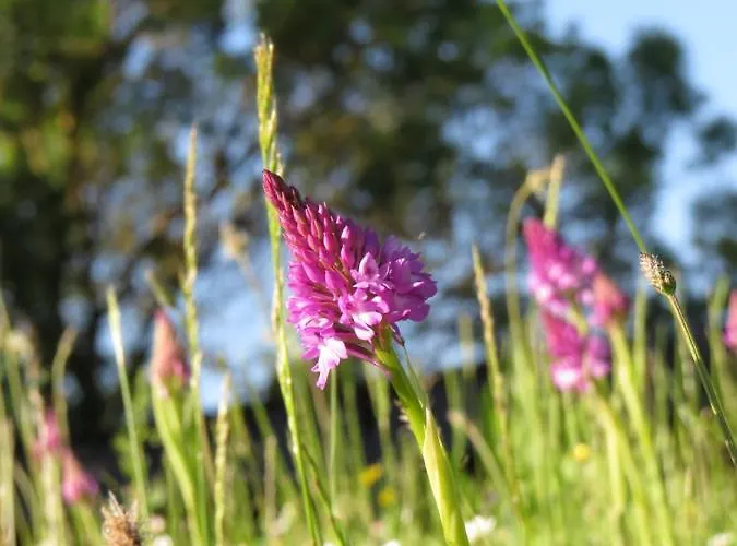 Casa vacanze Nature's Pace Holidays