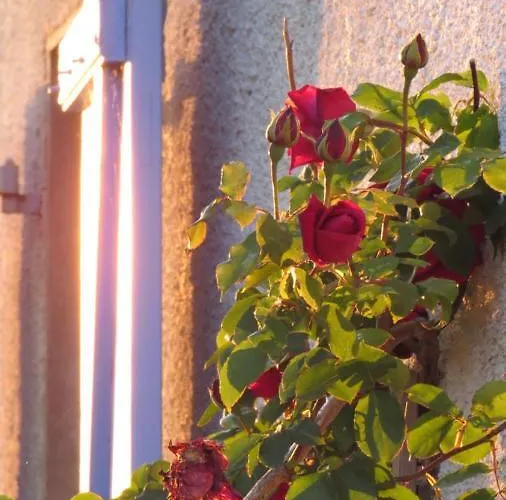 Nature's Pace Holidays *