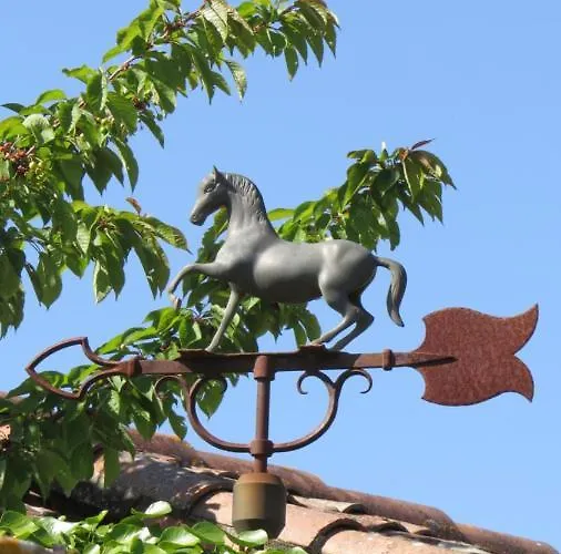 Casa vacanze Nature's Pace Holidays