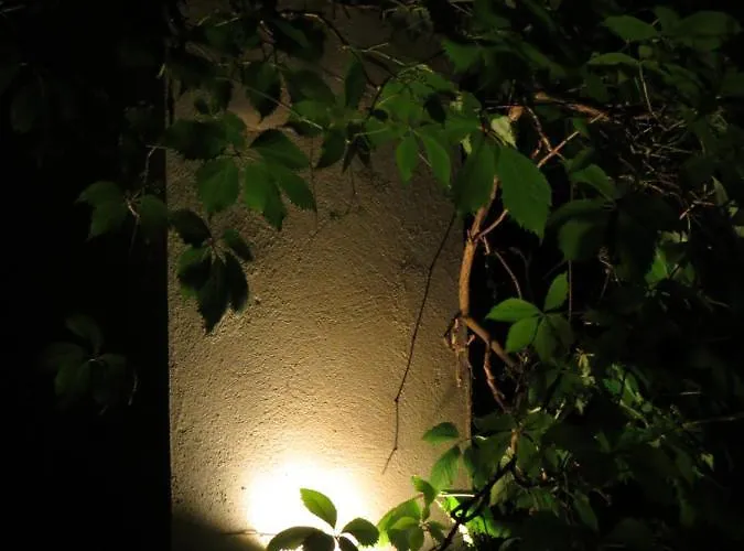 Nature's Pace Holidays Casa vacanze *